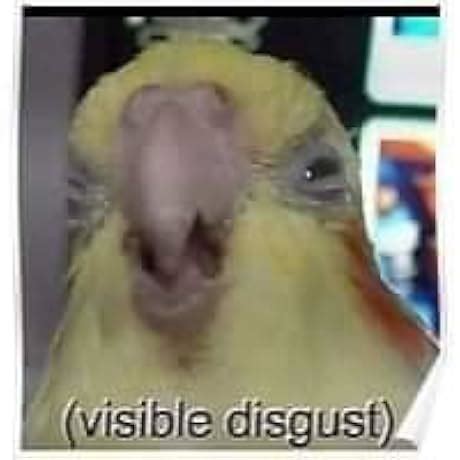 Buy Linux Device Drivers (O'Reilly Software Ser.) Book Online at Low ...