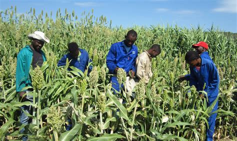Agriculture In Namibia