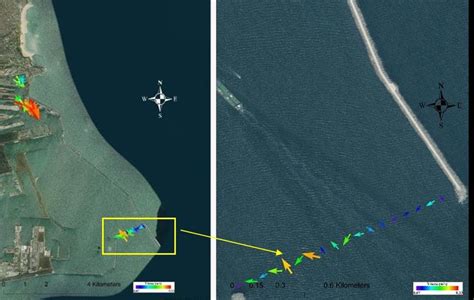 Image result for Acdp Tutorial