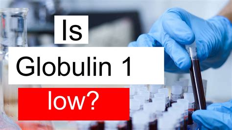 Is Globulin 1 low, normal or dangerous? What does Globulin level 1 mean?