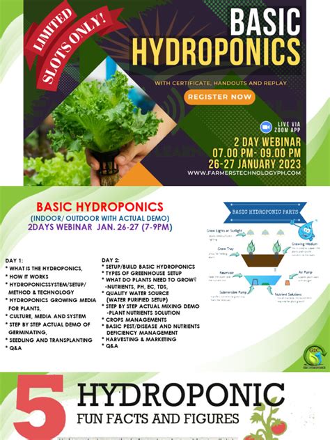 Basic Hydroponics for Beginners 的图像结果