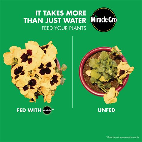 Miracle-Gro Water Soluble Bloom Booster Flower Food, 1.5 lb., For All ...