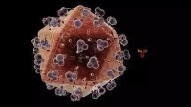 世界十大恐怖病毒（10大超级病毒） – 碳资讯