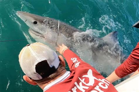 7 Photos That Sum Up Maine in the Summertime