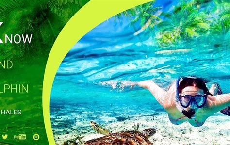 WHALES AND DOLPHINS WATCHING TOURS TRINCOMALEE (2026) All You Need to ...