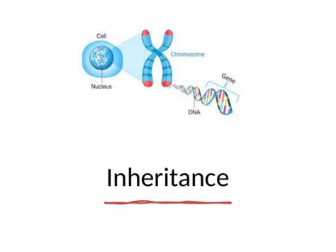 Image result for Inheritance Topic