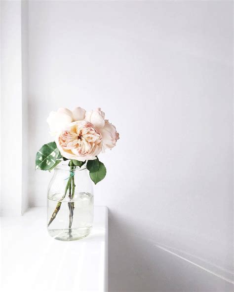 Shay Taylor @shaytaylor