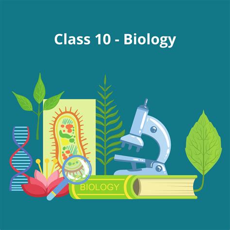 Explore Class 10 NIOS Subjects