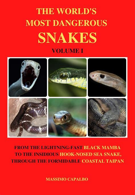 Amazon | The World's Most Dangerous Snakes - Volume I: From the fast ...