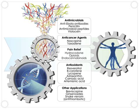 Applications of Yeast Synthetic Biology Geared towards the Production ...