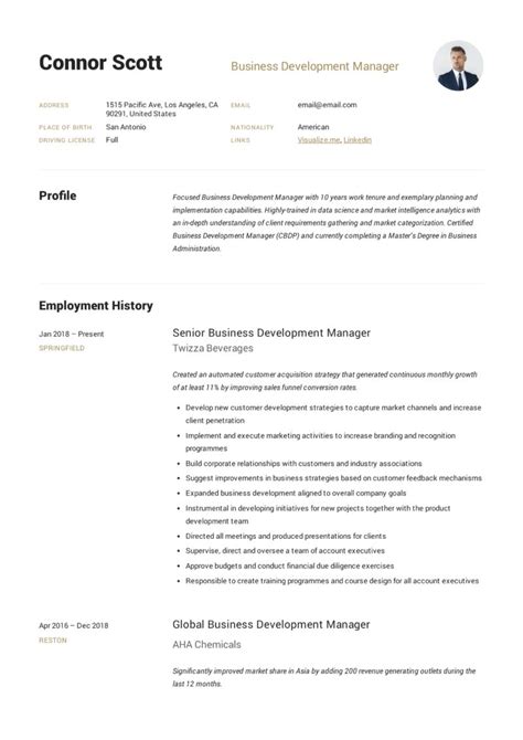 Business Resume Examples 的图像结果