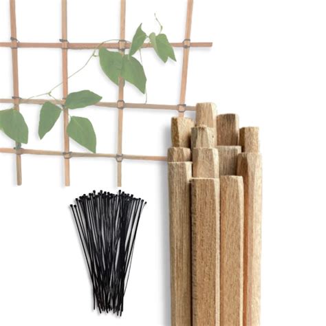 Growqk® Combo of (12 Pcs Wooden Sticks and 50 Pcs Plant Ties), 3 Feet ...