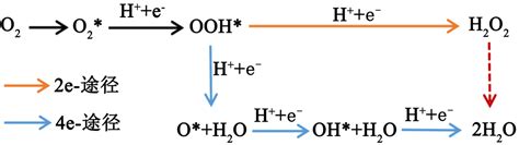 H2O2 Reactor 的图像结果