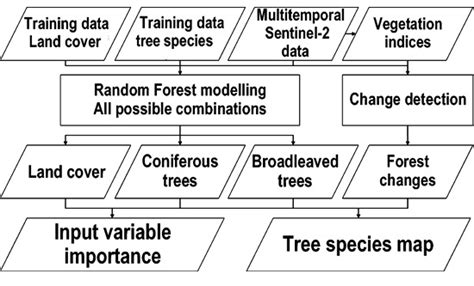 Optimal Input Features for Tree Species Classification in Central ...