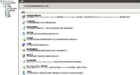 WSUS Tutorial 的图像结果