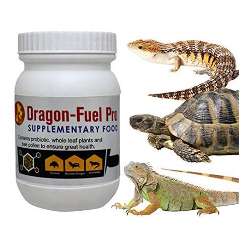 Pet Care International (PCI) Dragon-Fuel Pro, a Food Supplement for ...