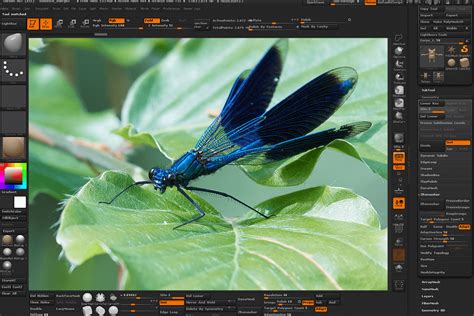 Image result for Free Motion Graphics Software