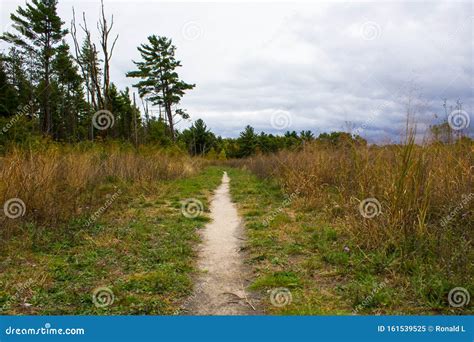 Pathway in Grassland in Fall Stock Image - Image of modern, look: 161539525