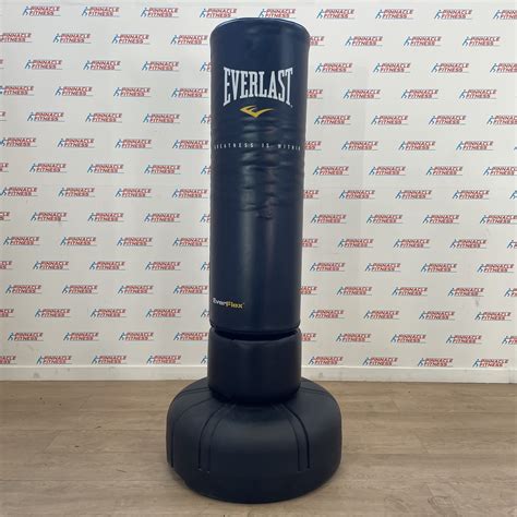 Everlast Punching Bag Freestanding