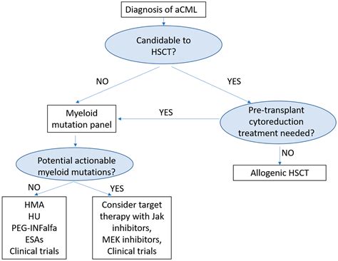 Atypical Chronic Myeloid Leukemia: New Developments from Molecular Diagnosis to Treatment