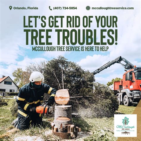 Tree Service Financing for Tree Removal & Trimming