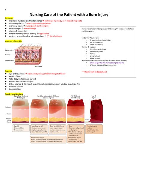 Burn Rehabilitation at Layla Helms blog