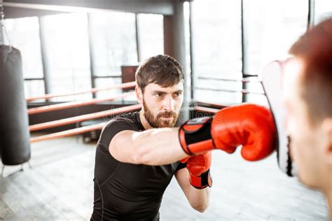 Boxing Trainer 的图像结果