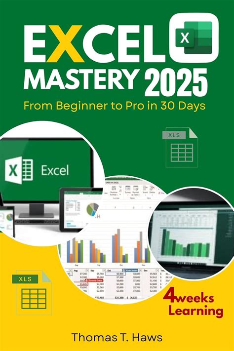 Excel Mastery 2025: From Beginner to Pro in 30 Day: A Step-by-Step ...