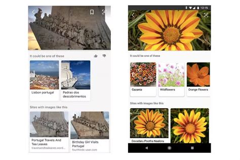 Bing Visual Search API 的图像结果