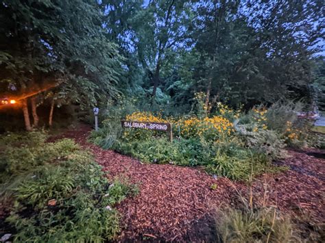 Image result for Spring Discovered in 1847 Valby