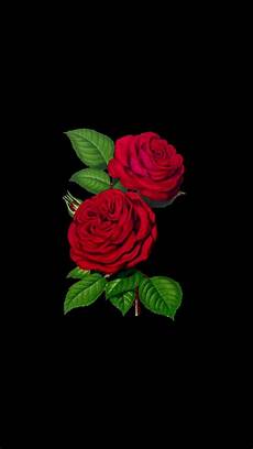 Flower Lock Screen Black Iphone Wallpaper by Wallpaper Iphone Flowers Wallpaperz Screen Wallpaper Flower Lock Screen Black Iphone Wallpaper