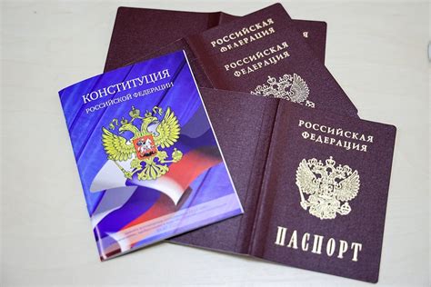 俄外交部收到人权专员有关在海外发放俄罗斯护照的建议 - 2023年4月4日, 俄罗斯卫星通讯社