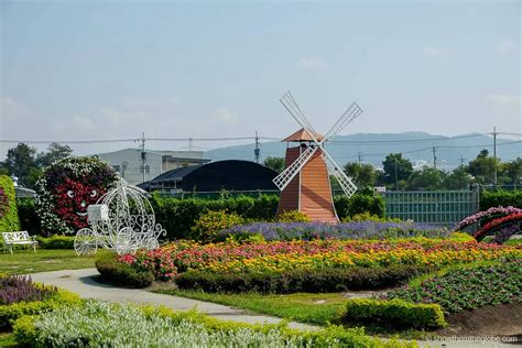 Go to Flower Market 的图像结果