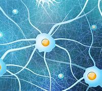 Image result for glial