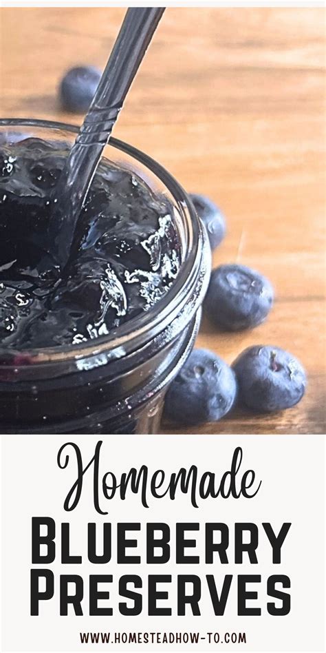 Homemade Blueberry Preserves | Recipe in 2025 | Blueberry preserves ...