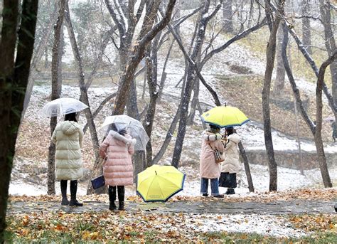 北京迎来今冬首场降雪 - 中国日报网