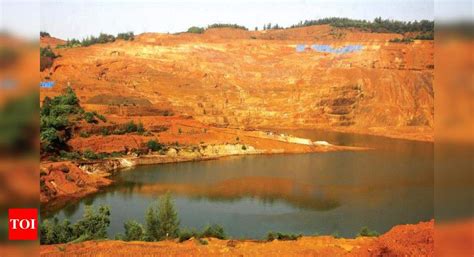 Dhavalikar: Mining pits can be tapped for hydropower | Goa News - Times ...
