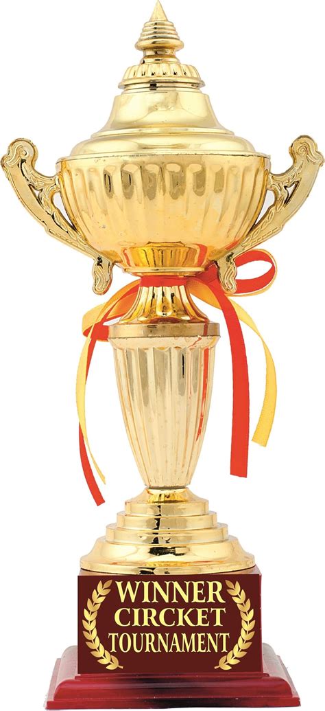 Trophy Golden Fiber Big Open Cup : Amazon.in: Sports, Fitness & Outdoors