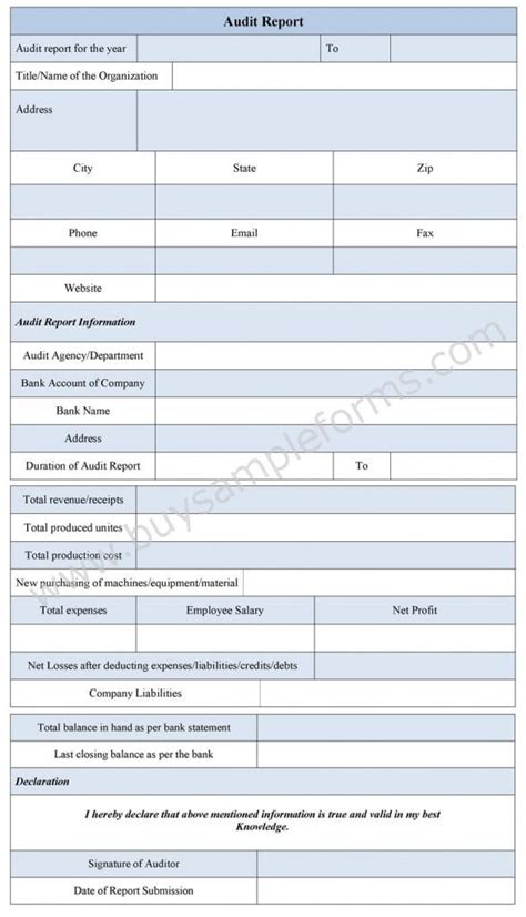 Image result for Audit Form Examples