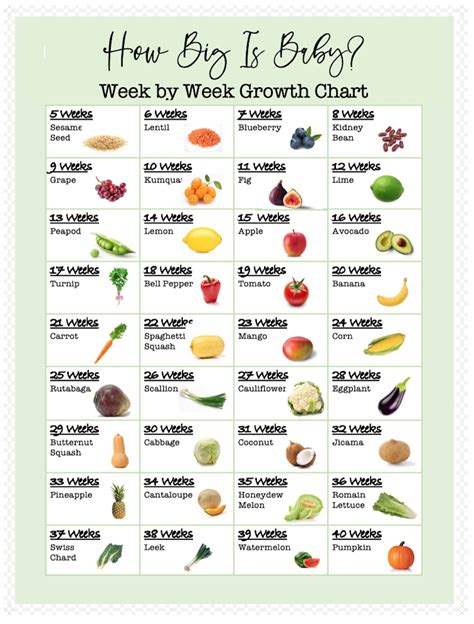 How Big is Babyweekly Printable Growth Chart-see How Big | Etsy | How ...