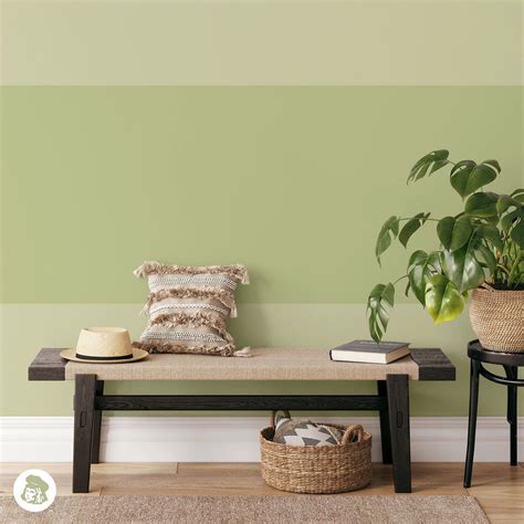 14 Olive Green Paint Colors the Pros Love