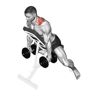 Incline Prone Dumbbell Shrugs Muscle Worked, Benefits & Gif image