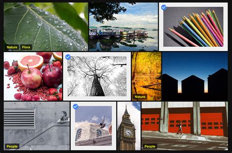 Image result for React TypeScript Gallery