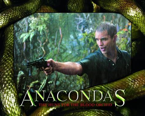 Todo El Terror Del Mundo: Anaconda 2, La Caceria Por La Orquidea ...