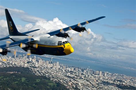 Plane Crazy Shark Tutorial 的图像结果