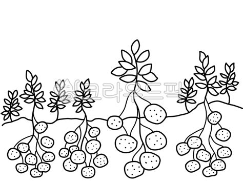 Image result for Graph API Type