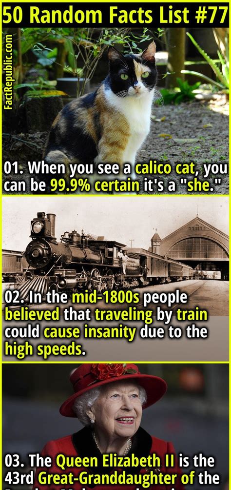 Image result for Random Facts List