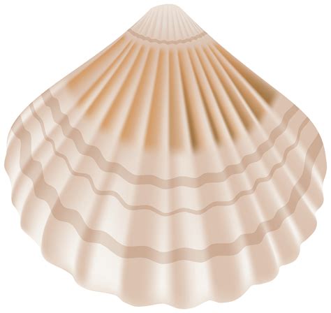 sea shell png 10 free Cliparts | Download images on Clipground 2025