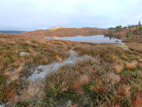 Management advice for lichen habitats | The British Lichen Society