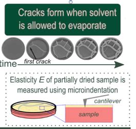 Researchers develop recipe to predict crack emergence in clay, holds ...